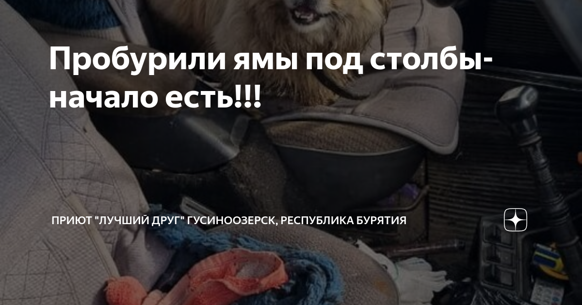 Пробурили ямы под столбы- начало есть!!! | Приют \"Лучший друг ...