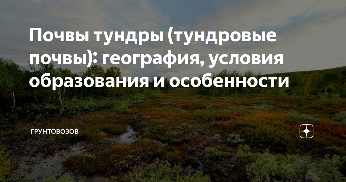 Почвы тундры (тундровые почвы): география, условия образования и ...