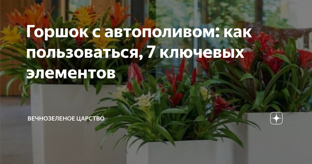 Горшок с автополивом: как пользоваться, 7 ключевых элементов ...