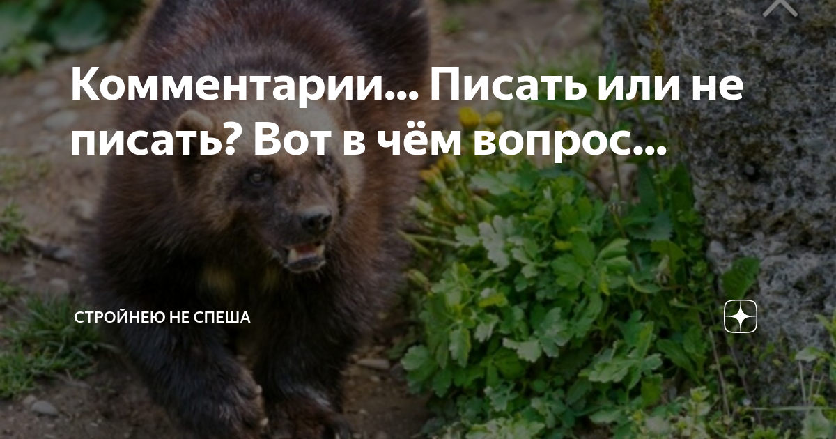Комментарии... Писать или не писать? Вот в чём вопрос... | Стройнею не ...
