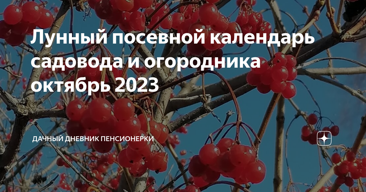 Лунный календарь садовода и огородника на сентябрь 2023 года Гавриш. Семена от п