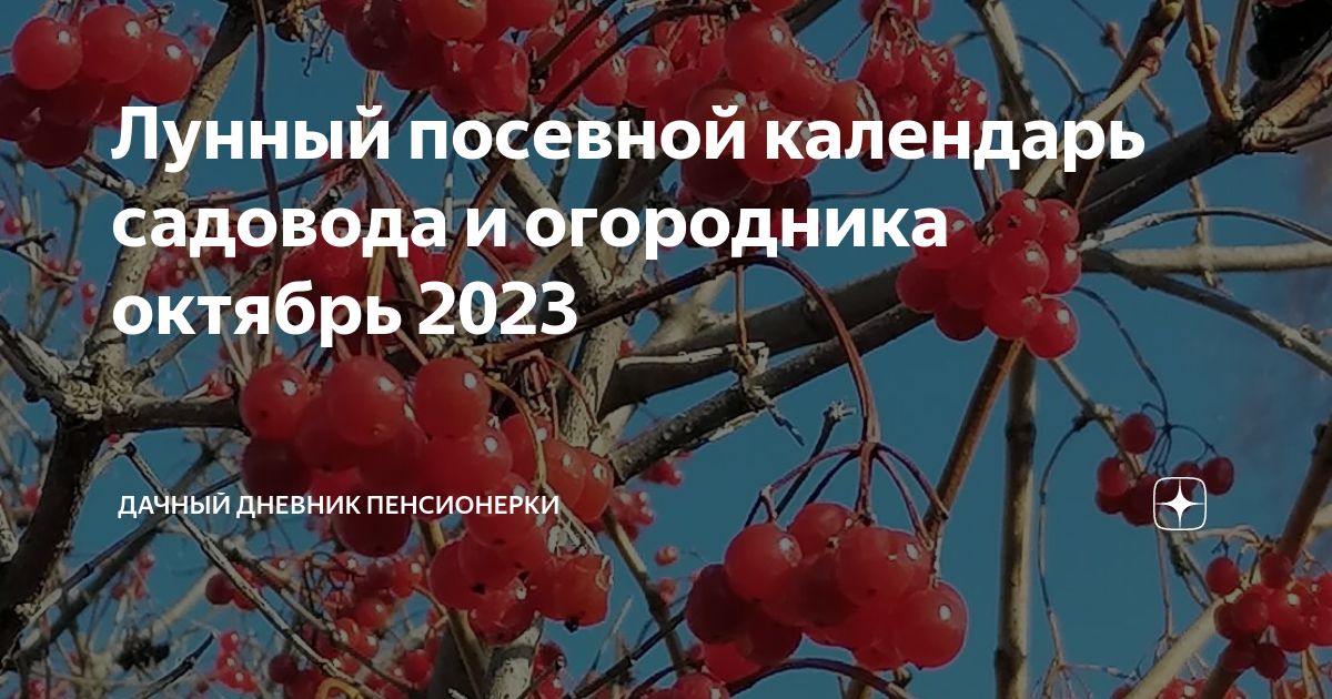 Календарь садовода на октябрь 24 года Лунный посевной календарь садовода и огородника октябрь 2023 Дачный дневник пенс