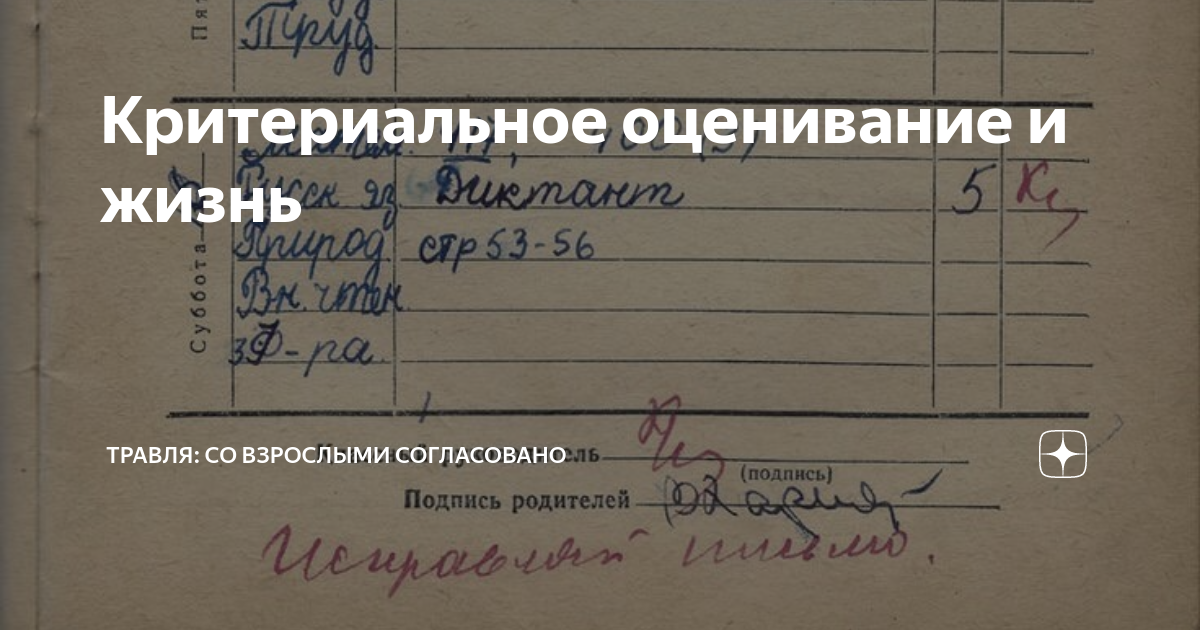 Критериальное оценивание и жизнь | Травля: со взрослыми согласовано | Дзен