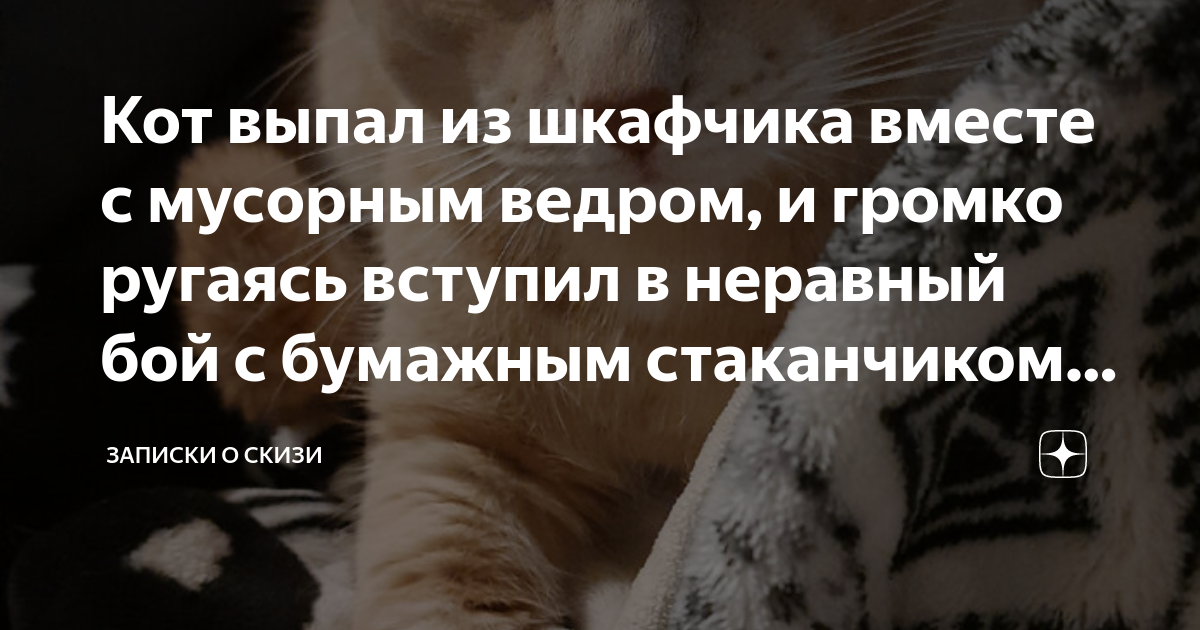 Кот выпал из шкафчика вместе с мусорным ведром, и громко ругаясь ...