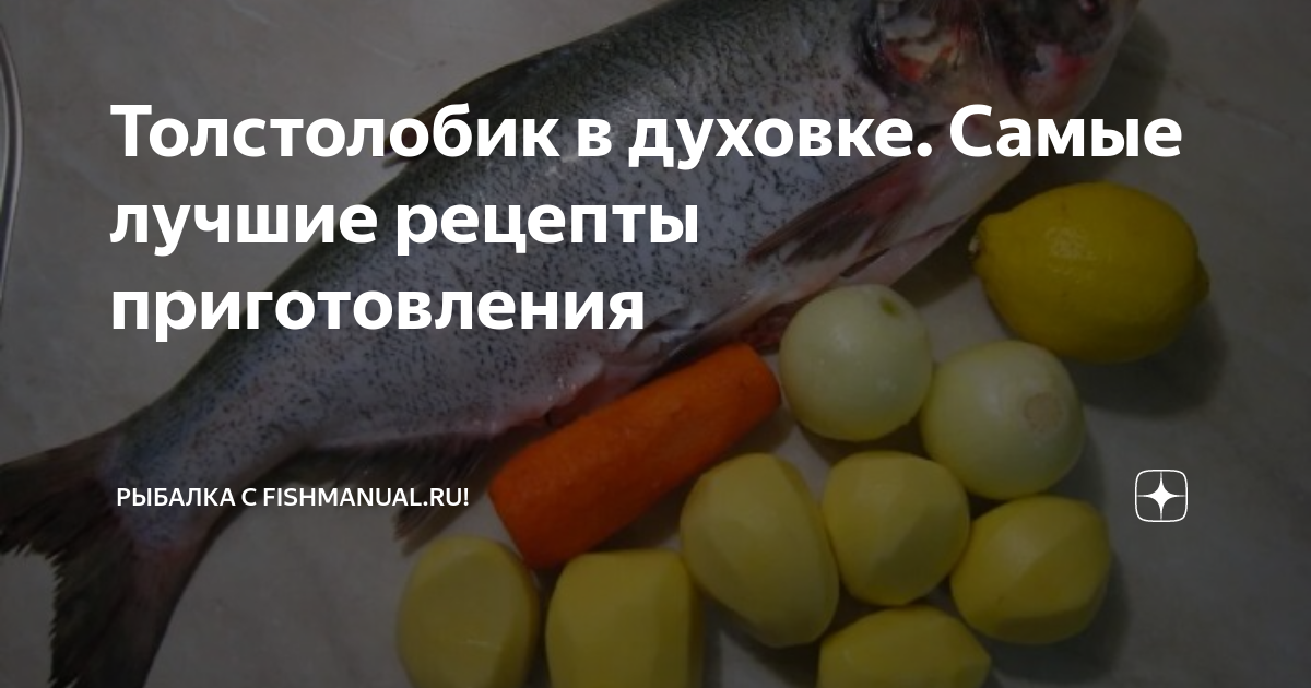 Толстолобик в томатном соусе - пошаговый рецепт с фото на tulparkazan.ru