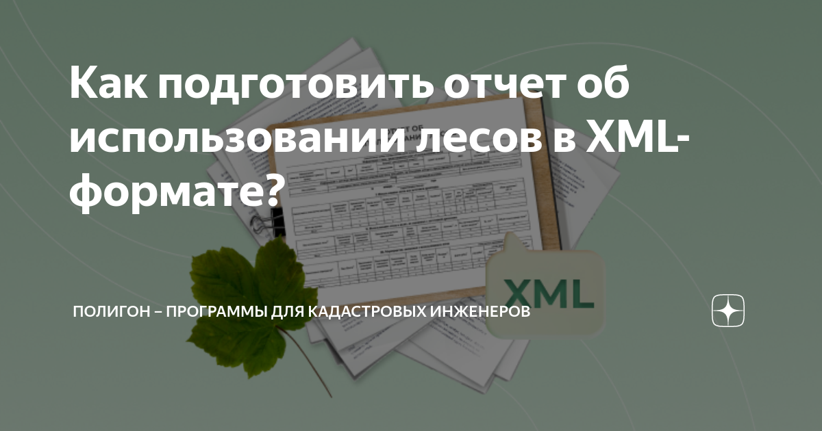 Как подготовить отчет об использовании лесов в XML-формате? | Полигон ...