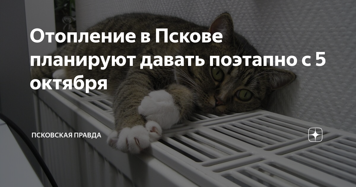 тех условия для газоснабжения частного дома 2021. банкротство предприятия картинки. понятие юридического лица. процедура ликвидации юр лица пошагово. ликвидация ооо схема.