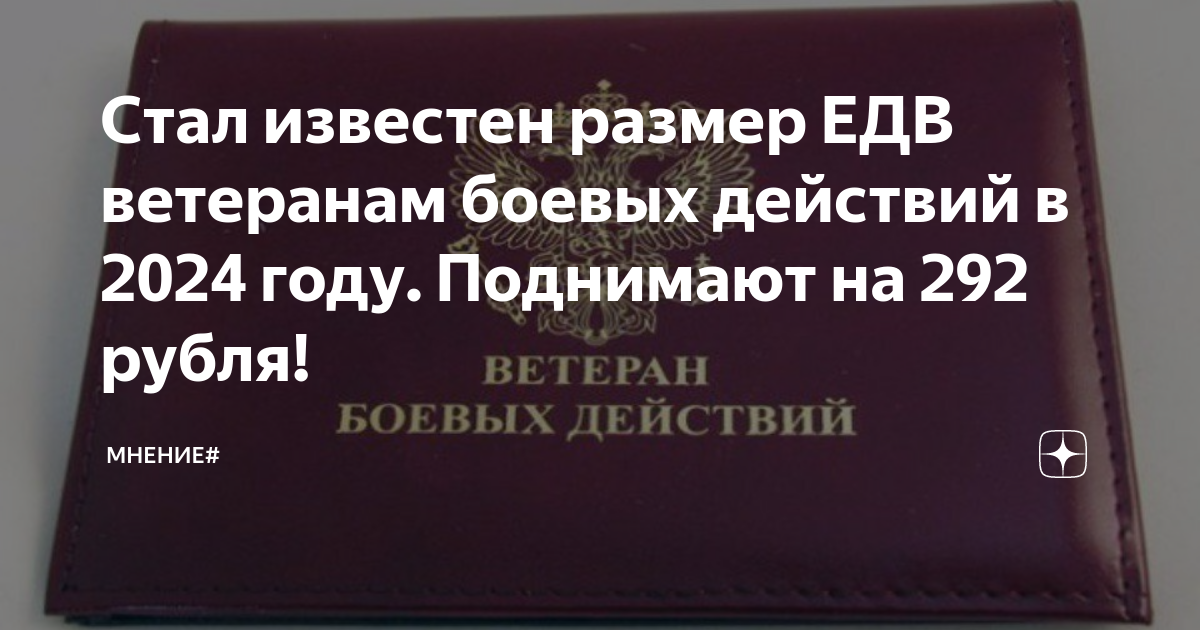 Выплаты ветеранам боевых действий 2024 последние новости