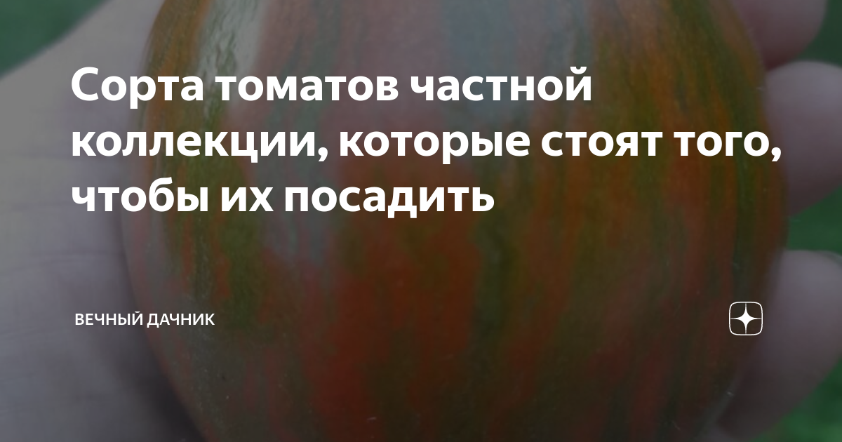 Сорта томатов частной коллекции, которые стоят того, чтобы их посадить ...
