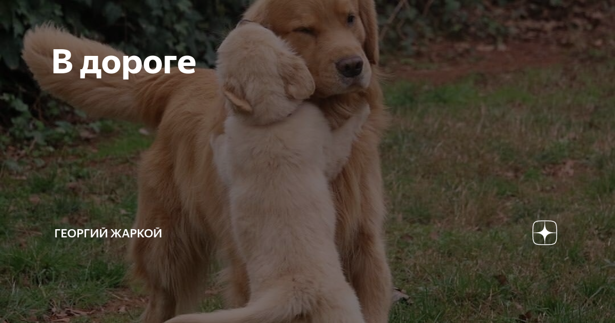 В дороге | Георгий Жаркой | Дзен