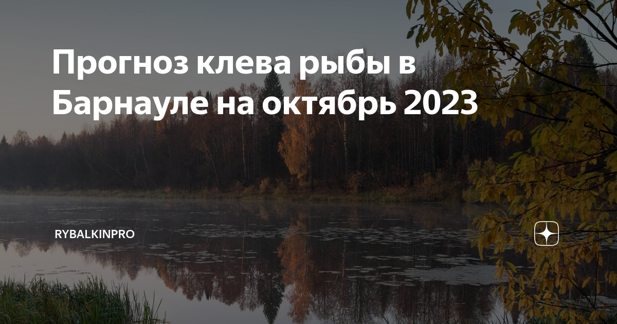 Прогноз рыбы в барнауле. Река Руза. День проведенный на рыбалке в счет жизни не засчитывается. В проведенное время на рыбалке Богом не засчитывается. Природа сегодня.