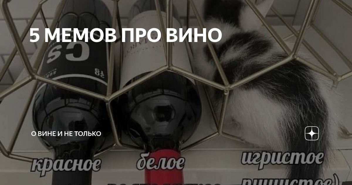5 МЕМОВ ПРО ВИНО | ВИНТ | Дзен