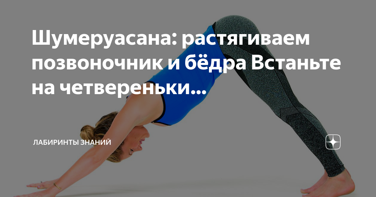 Упражнения для гибкости позвоночника. Упражнения для грудного отдела позвоночника. Упражнения для растяжки позвоночника. Растяжка поясничного отдела. Подростковые растяжки на спине.
