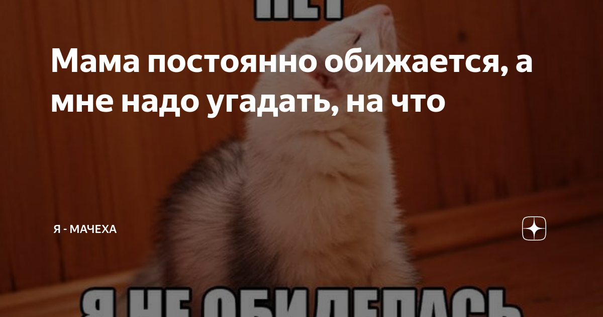 Мама обиделась, напрямую со мной не общается, зато повадилась через брата мне нервы портить