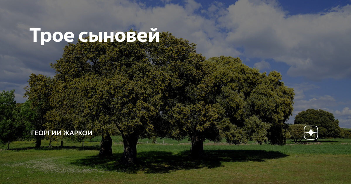 Трое сыновей | Георгий Жаркой | Дзен