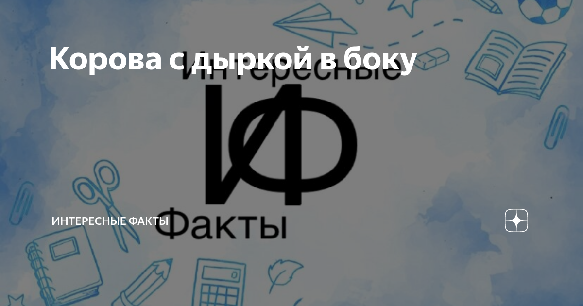 Корова с дыркой: для чего парнокопытным делают огромное отверстие в боку | Instagram