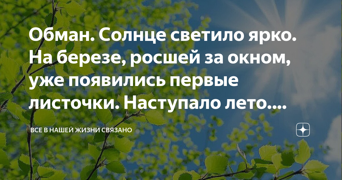 Солнце ярко светило блестели растения вечером друзья садились у стола и разбирали чертеж