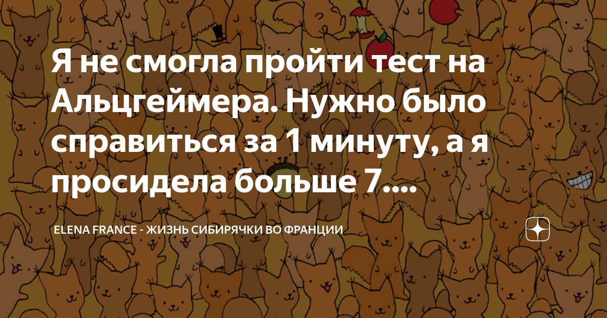 Песня 11 лет я просидела за партой ничего не понимала не умею шить фартук