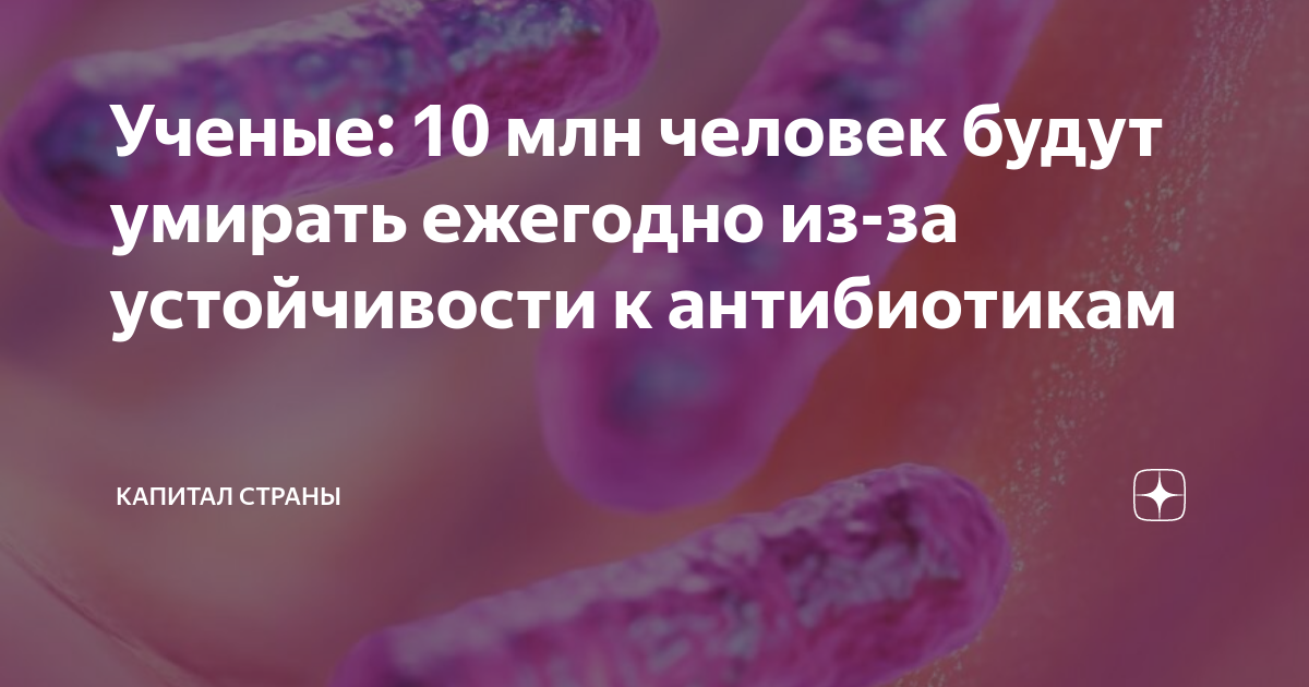 Секреты применения медицинских трав