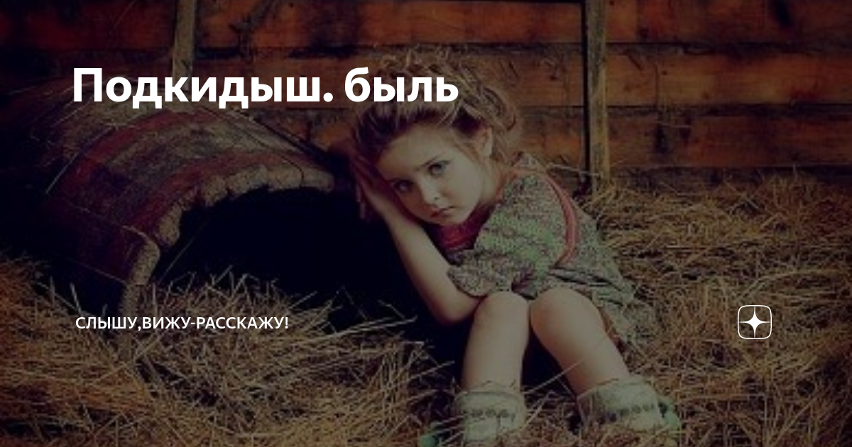 Виталий бианки подкидыш. Произведения виталия бианки подкидыш. Рассказ подкидыш. Подкидыш в цвете. Подкидыш читать на дзен.