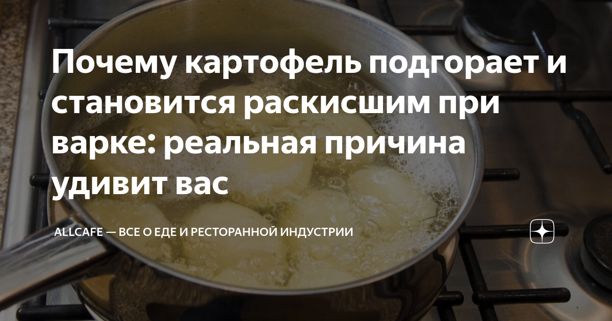 Почему после подмораживания клубни картофеля становятся сладкими?