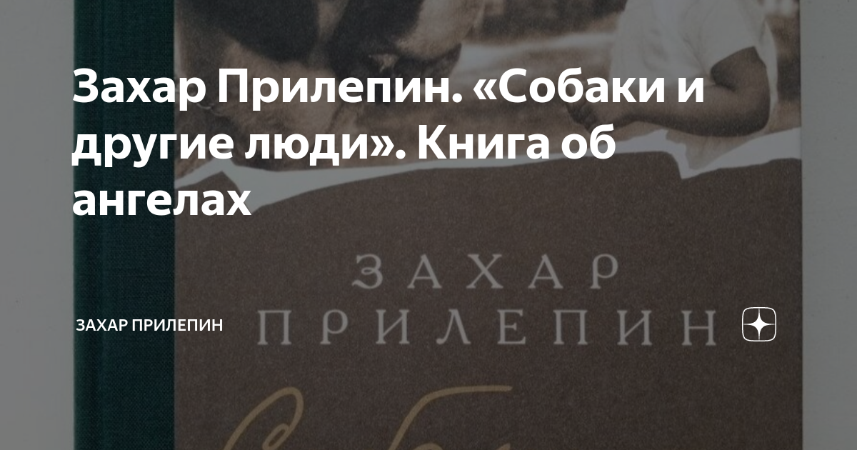 книга жизнь замечательных людей захар прилепин