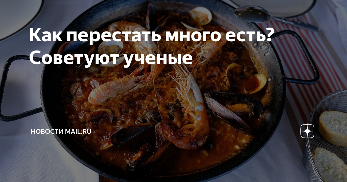 Как перестать много есть? Советуют ученые | ВФокусе Mail | Дзен