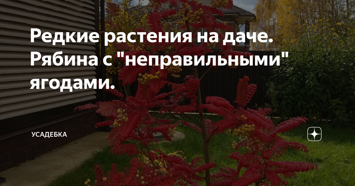 Наш ассортимент на начало года. Новости магазина семян в Самаре