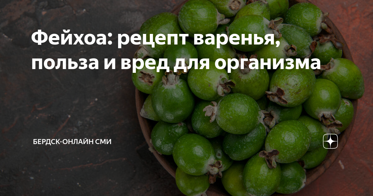 Сушеные ягоды: полезные свойства, противопоказания, рецепты для применения