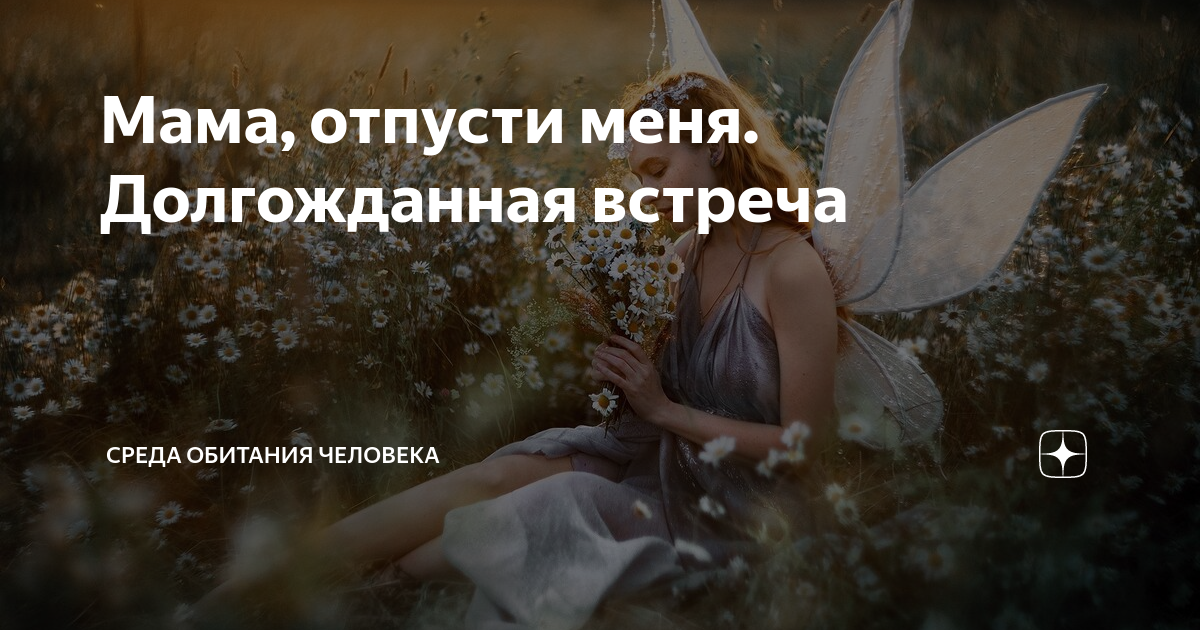 Мама, отпусти меня. Долгожданная встреча | СРЕДА ОБИТАНИЯ ЧЕЛОВЕКА | Дзен