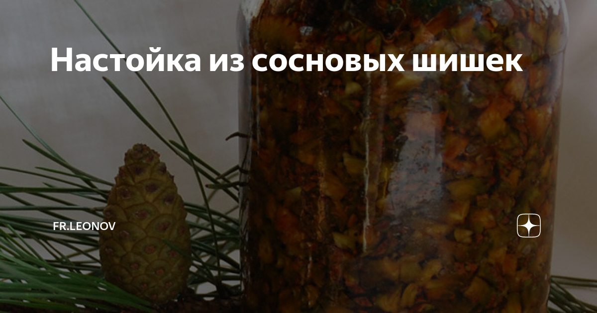 Самогон настойка на шишках. Настой сосновых почек. Настойка из почек сосны.