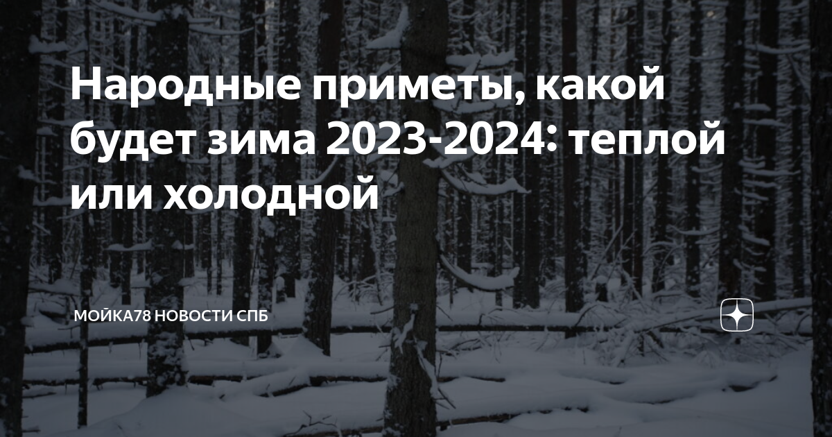 Народные приметы, какой будет зима 2023-2024: теплой или холодной | МОЙКА78  Новости СПб | Дзен