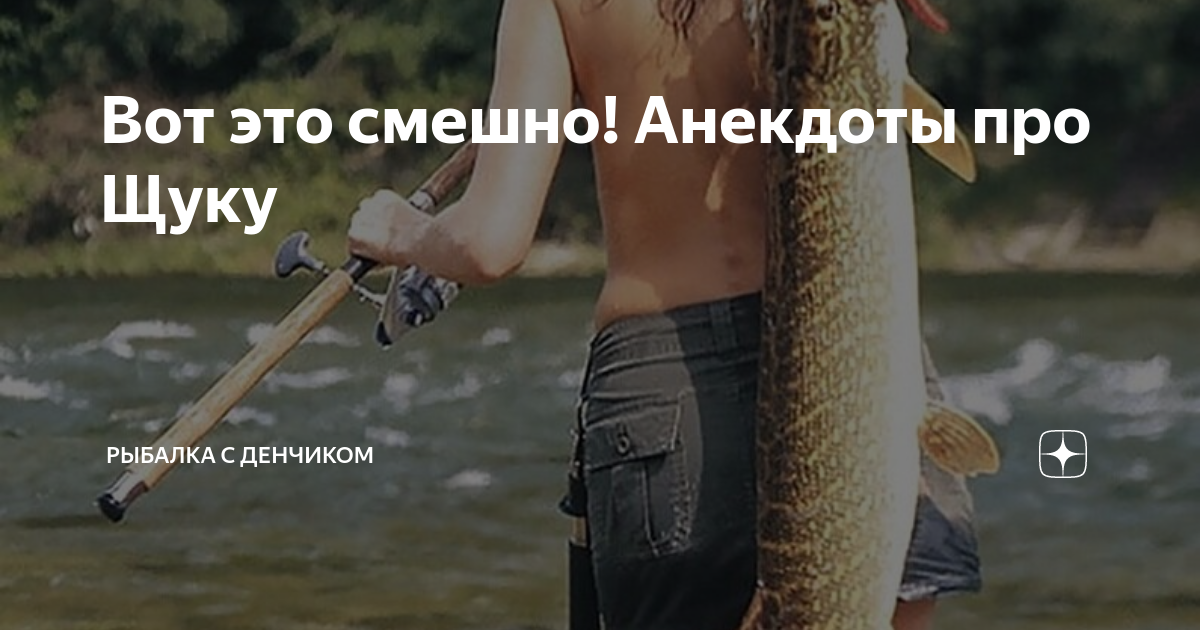 Вот это смешно! Анекдоты про Щуку | Рыбалка с Денчиком | Дзен