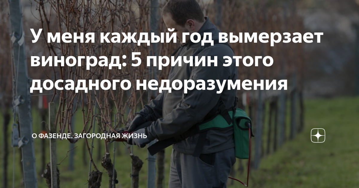 Влияние мороза на корни