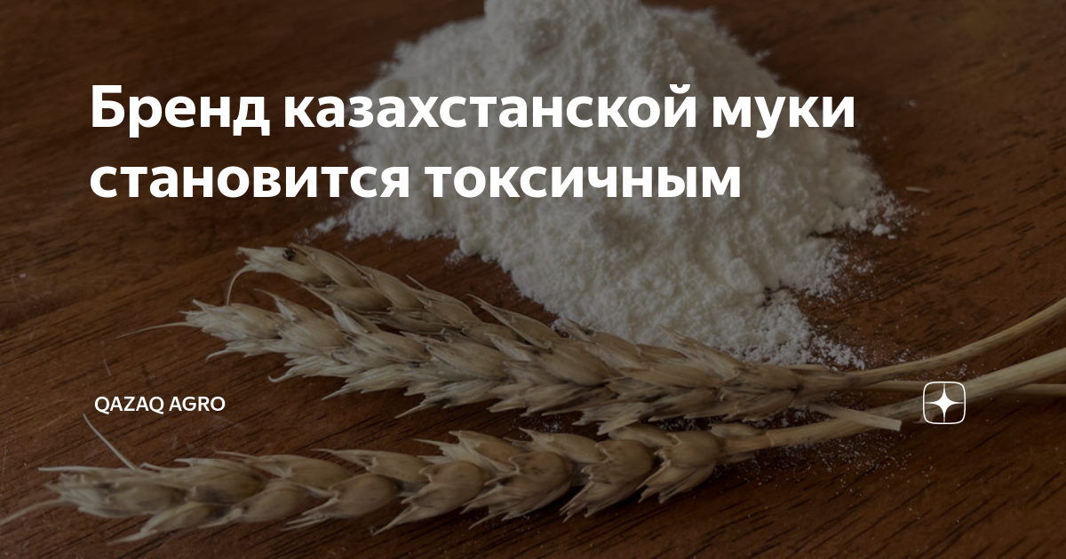 Бренд казахстанской муки становится токсичным | Qazaq Agro | Дзен