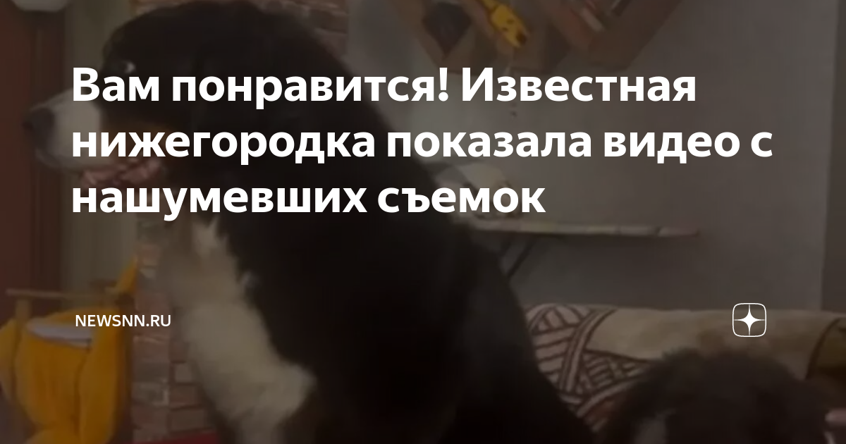 Нижегородка, благодаря которой скандальное видео попало в сеть, может получить реальный срок