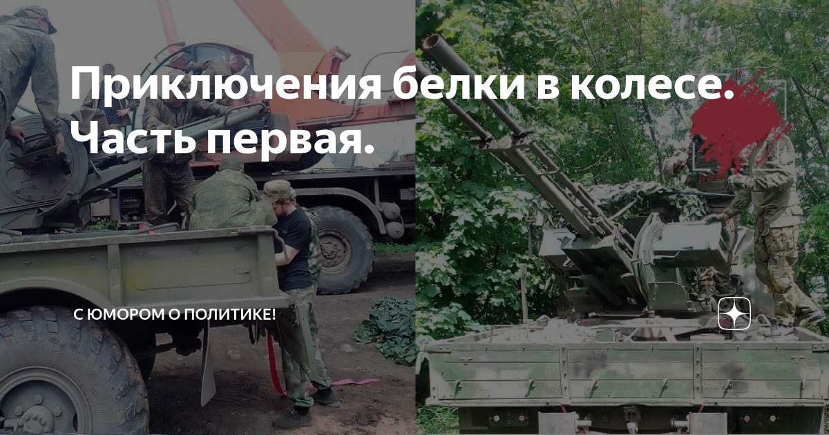 Приключения белки в колесе. Часть первая. | С юмором о политике! | Дзен