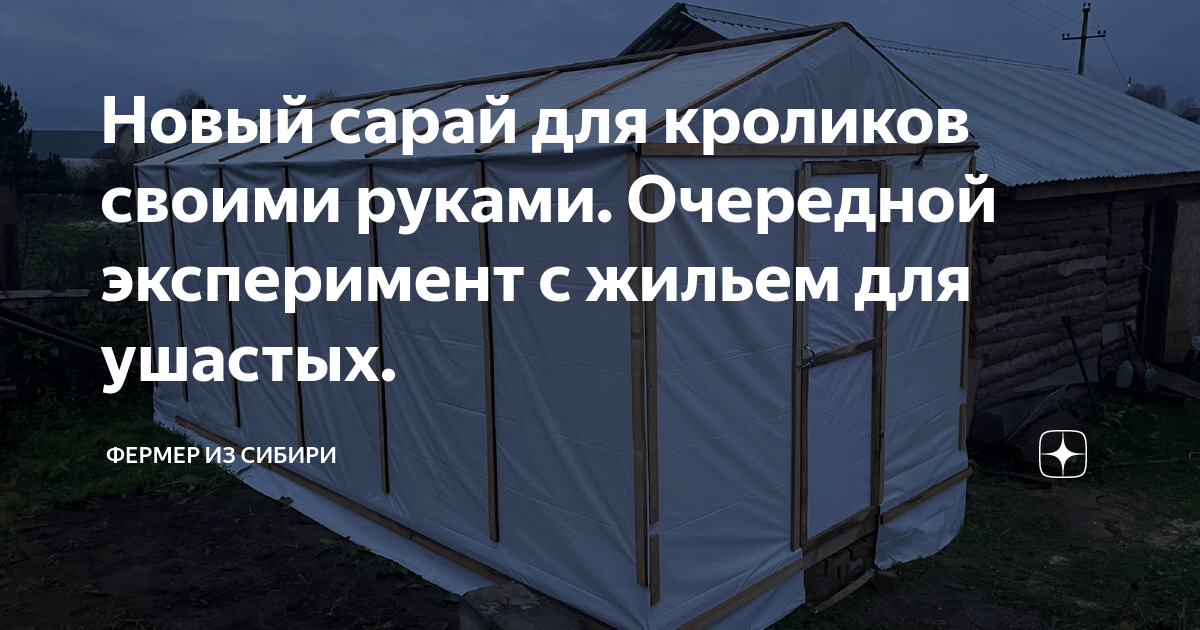 Сараи для животных и птицы – постройка своими руками — разбираемся развернуто