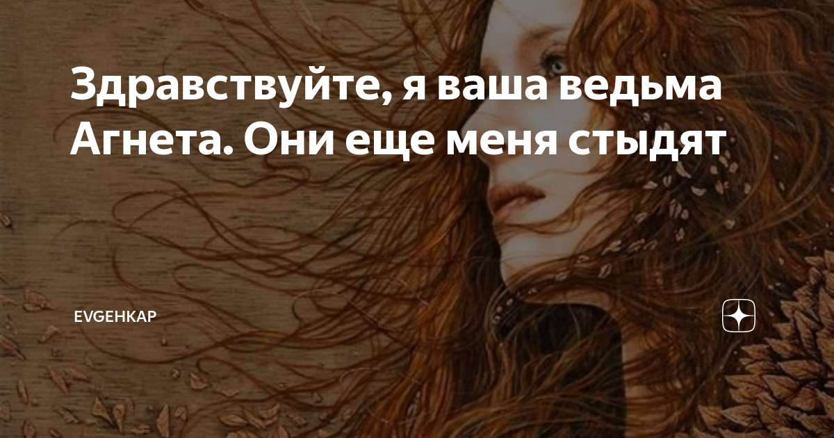 Здравствуйте, я ваша ведьма Агнета. Они еще меня стыдят | Evgehkap | Дзен