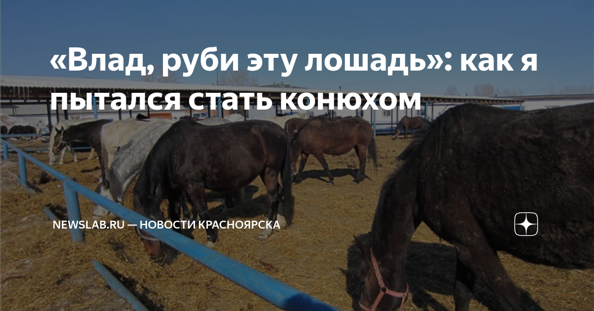 Как стать конюхом. Конь с конюхом. Конюх. Как стать конюхом. Конюх с лошадью.