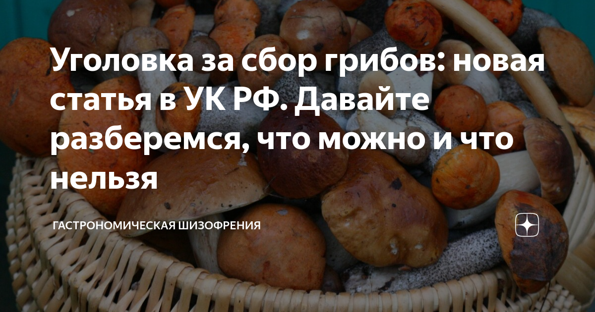 закон про ягоды и грибы