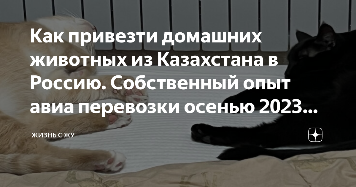как привезти лекарство из казахстана в россию