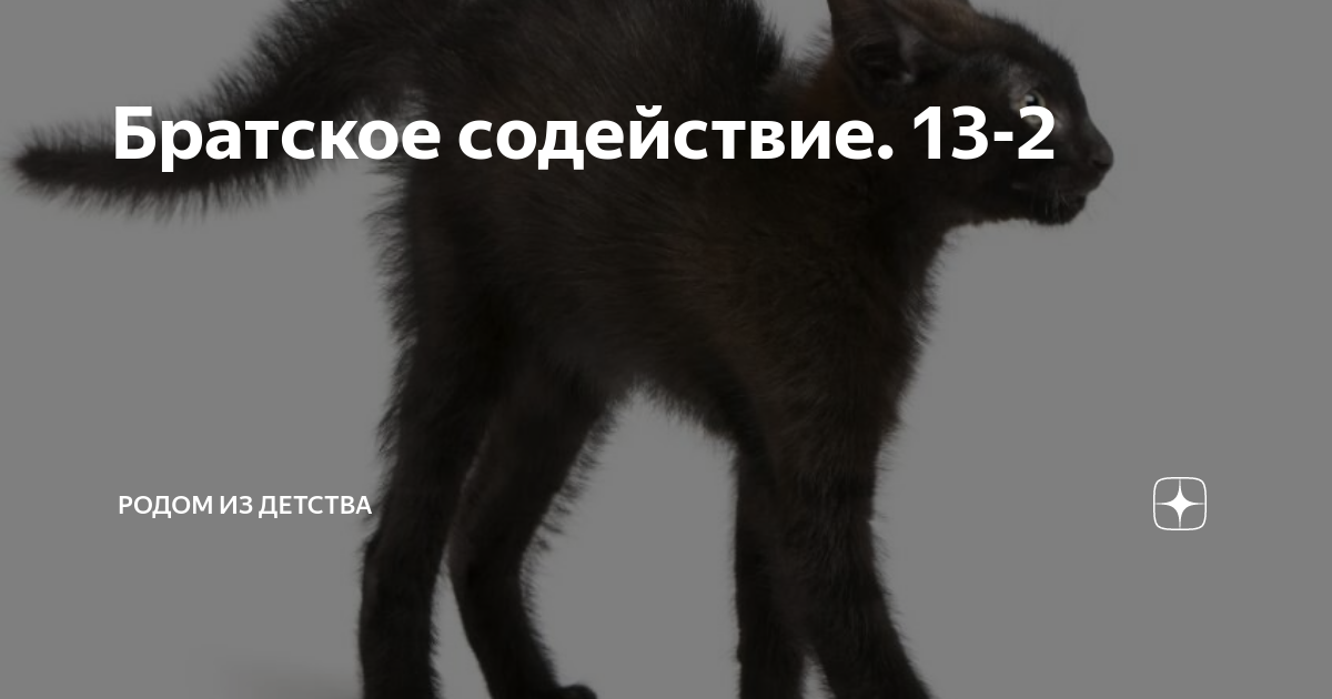Братское содействие. 13-2 | Родом из детства | Дзен
