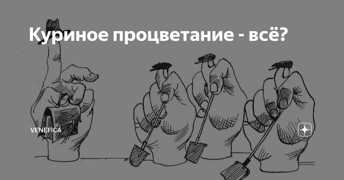 Venefica дзен блог. Venefica дзен блог. Venefica дзен блог. Venefica дзен. Venefica дзен блог.