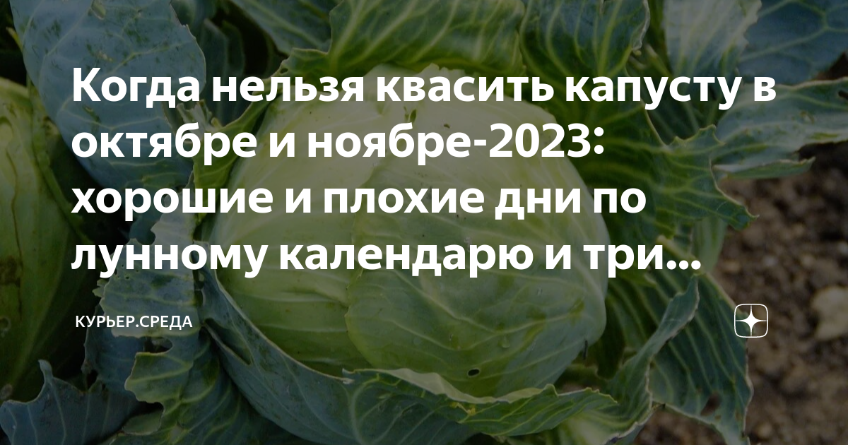 в какие дни квасить капусту в декабре 23 года