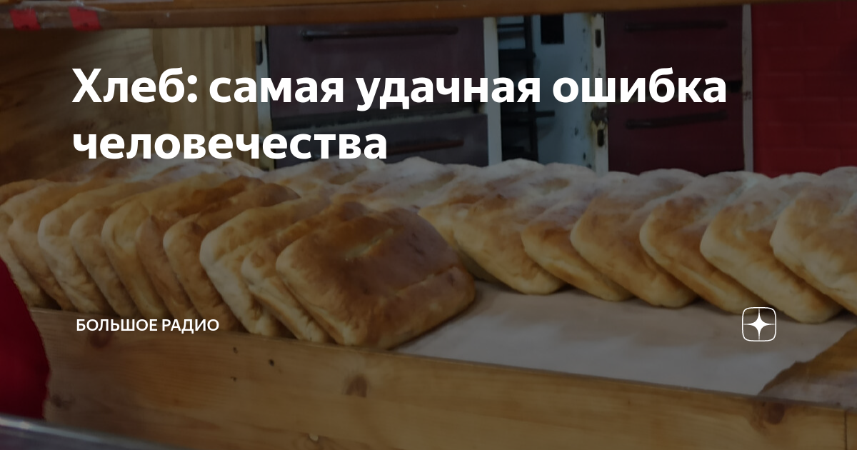 Хлеб: самая удачная ошибка человечества | Большое Радио | Дзен