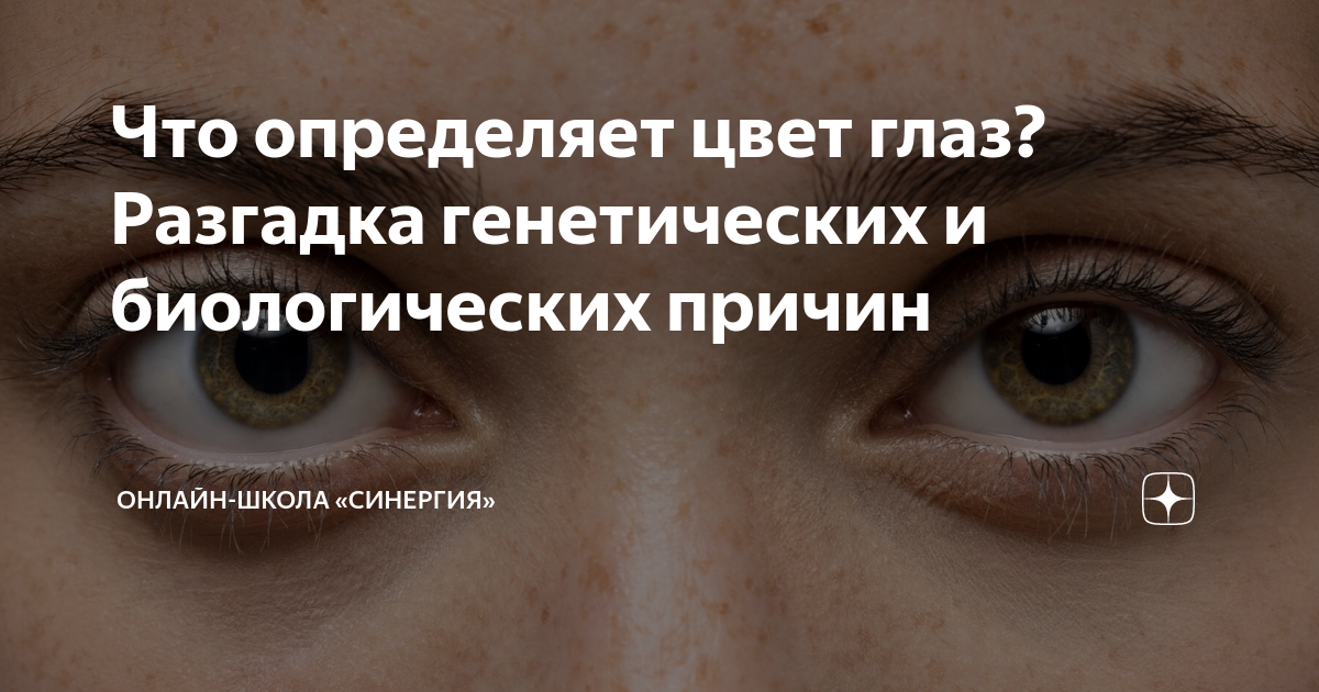 Что определяет цвет глаз? Разгадка генетических и биологических причин ...