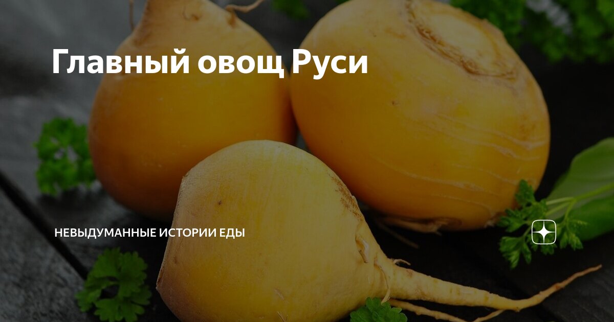 Главный овощ Руси | Невыдуманные истории еды | Дзен