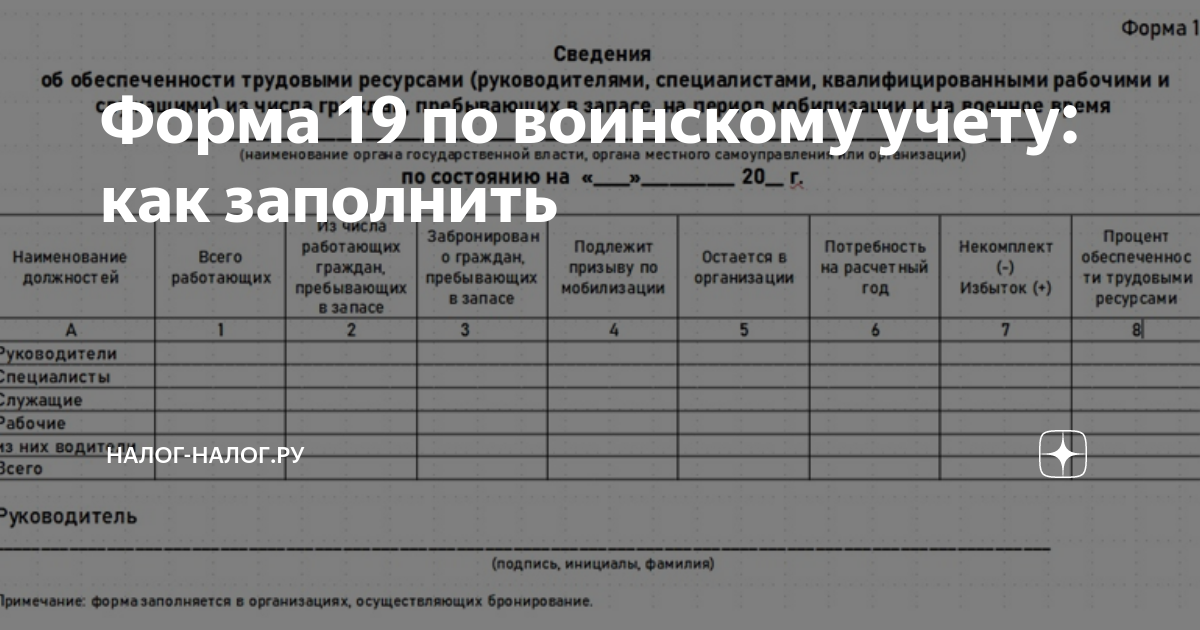 Воинский учет форма 18 образец заполнения. Форма 19. Форма 19 воинский учет. Отчет по воинскому учету форма 19 образец заполнения. Учет мобилизованных.