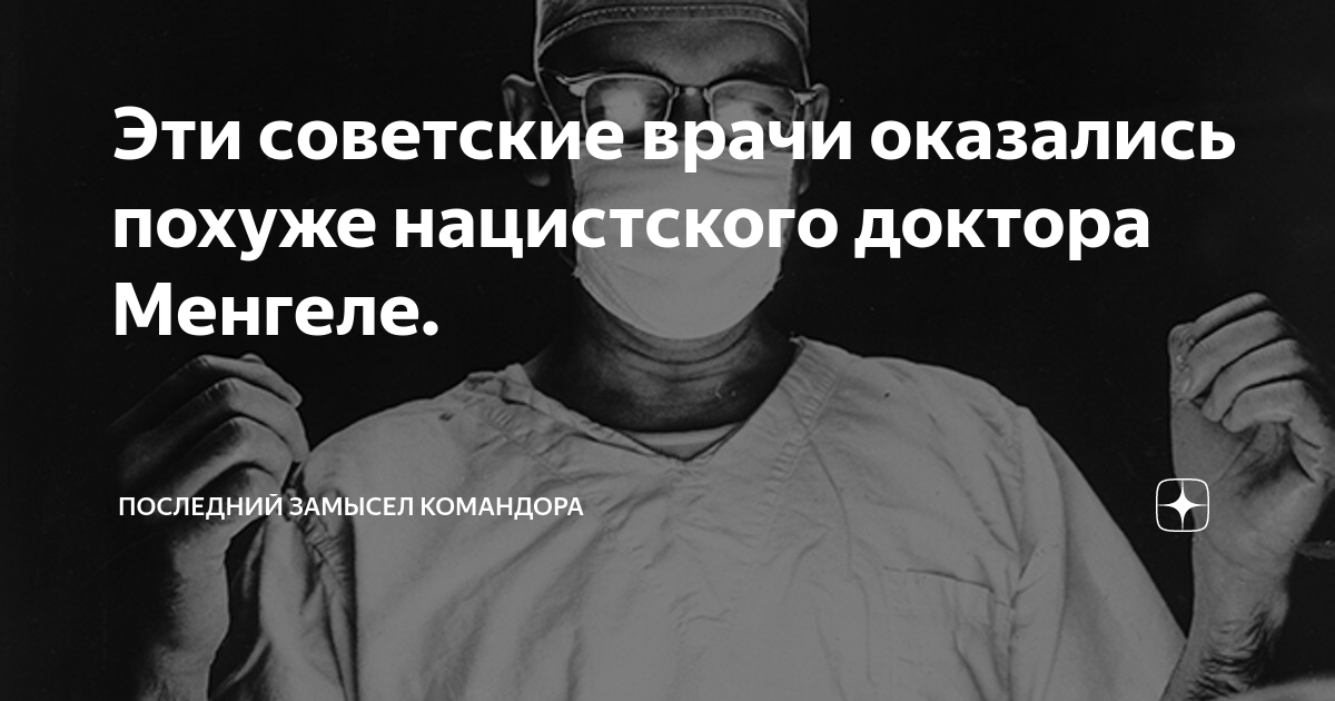 Последний замысел командора дзен читать. Последний замысел Командора